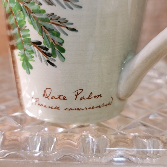 Palm Island Teapot and Cups. Palm Island Cream by FLORIDA MARKETPLACE - Picture 3 of 13